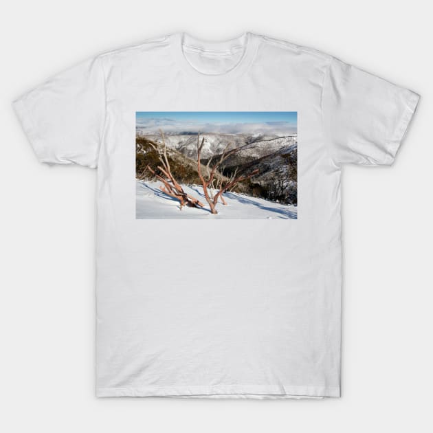 Snow on the mountainside T-Shirt by jwwallace